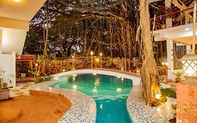 Singing Tree Goa 4*